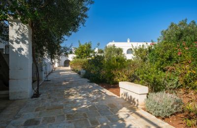 Venkovský dům na prodej Ostuni, Strada Provinciale 21, Puglia, Foto 11/33