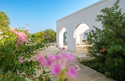 Venkovský dům na prodej Ostuni, Strada Provinciale 21, Puglia, Foto 9/33