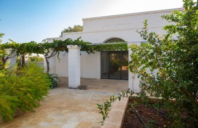 Venkovský dům na prodej Ostuni, Strada Provinciale 21, Puglia, Foto 31/33
