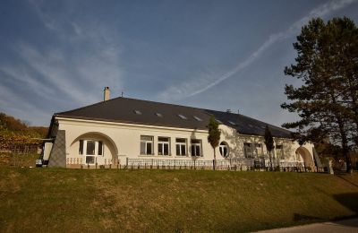 Zámeček na prodej Trenčiansky kraj, okres Trenčín, Melčice - Lieskové, Melčice, Západné Slovensko, Foto 26/27