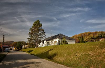 Zámeček na prodej Trenčiansky kraj, okres Trenčín, Melčice - Lieskové, Melčice, Západné Slovensko, Foto 9/27