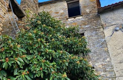 Venkovský dům na prodej Liguria, , Foto 5/10