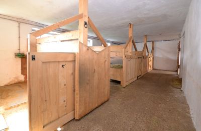 Venkovský dům na prodej 91788 Pappenheim, Bayern, Boxy pro koně