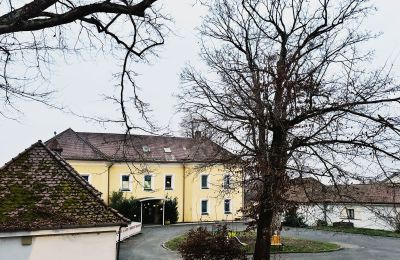 Zámek na prodej 92237 Sulzbach-Rosenberg, Schlossbergweg  10, Bayern, Pohled zepředu