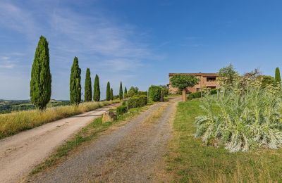 Venkovský dům na prodej Montalcino, Toscana, Foto 11/26