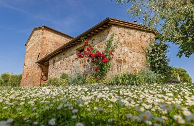 Venkovský dům na prodej Montalcino, Toscana, Foto 14/26
