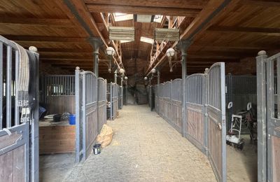 Venkovský dům na prodej Západopomořanské vojvodství, Foto 10/26