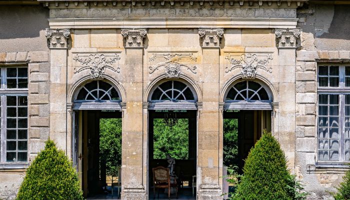 Zámek na prodej Vitry-le-François, Grand-Est,  Francie
