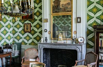 Zámek na prodej Vitry-le-François, Grand-Est, Podrobnosti