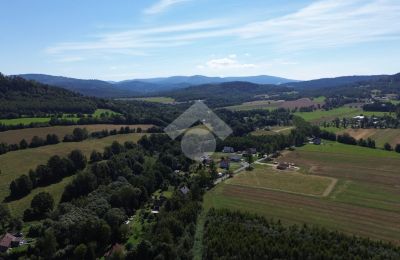 Zámeček na prodej Radochów, Dolní Slezsko, Foto 9/10