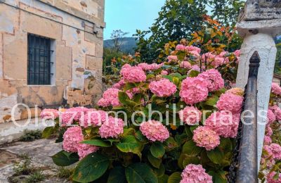 Zámeček na prodej Araba/Álava, Ayala/Aiara, Ayala / Aiara, Llanteno, Euskadi, Foto 2/29