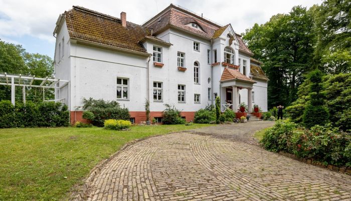  Stechlin 4