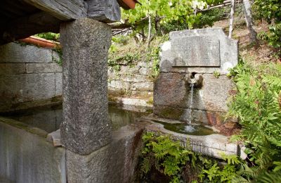 Historická nemovitost na prodej Gondomar, Galicia, Zahrada