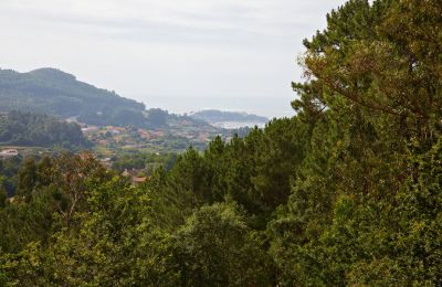 Historická nemovitost na prodej Gondomar, Galicia, Foto 41/48