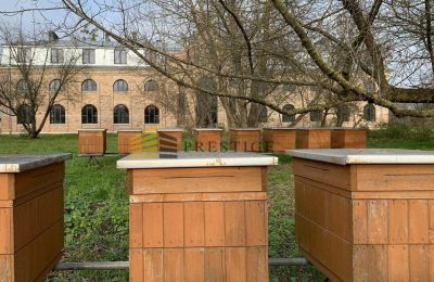 Zámeček na prodej Ojrzanów, Pałac w Ojrzanowie, Mazovia, Foto 14/18