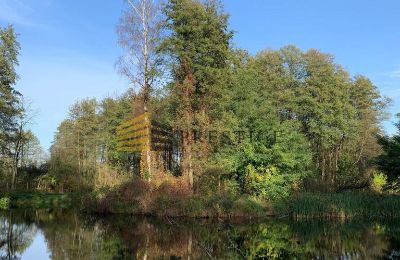 Zámeček na prodej Ojrzanów, Pałac w Ojrzanowie, Mazovia, Park