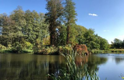 Zámeček na prodej Ojrzanów, Pałac w Ojrzanowie, Mazovia, Park