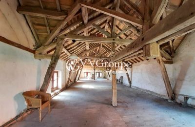 Zámeček na prodej Le Dorat, Nouvelle-Aquitaine, Foto 14/14