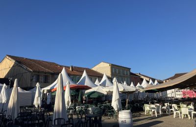 Venkovský dům na prodej Marciac, Occitanie, Foto 6/14