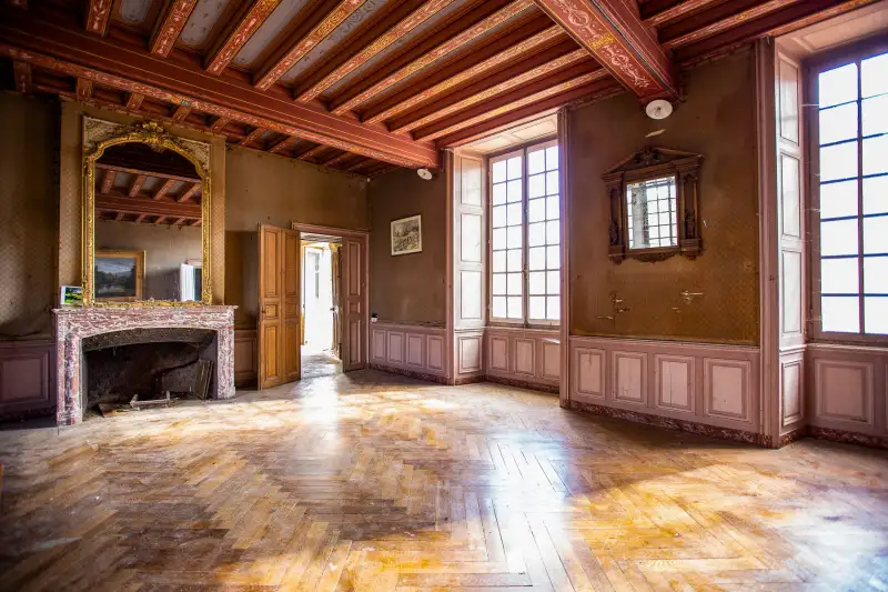 Zámek na prodej Thouars, Nouvelle-Aquitaine,  Francie, 4