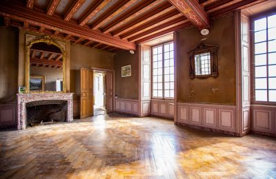 Zámek na prodej Thouars, Nouvelle-Aquitaine, Foto 8/16