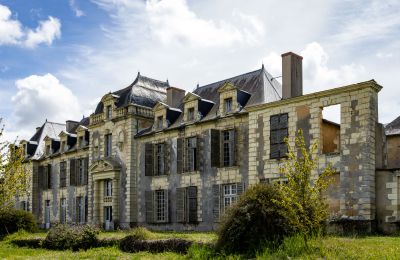 Zámek na prodej Thouars, Nouvelle-Aquitaine, Foto 3/16