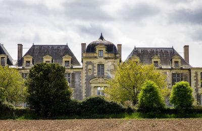 Zámek na prodej Thouars, Nouvelle-Aquitaine, Foto 2/16
