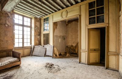 Zámek na prodej Thouars, Nouvelle-Aquitaine, Foto 11/16