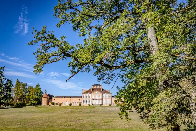 Zámek na prodej Nevers, Bourgogne-Franche-Comté,  Francie, 3