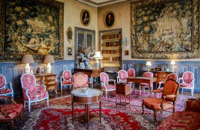 Zámek na prodej Nevers, Bourgogne-Franche-Comté, Foto 8/17