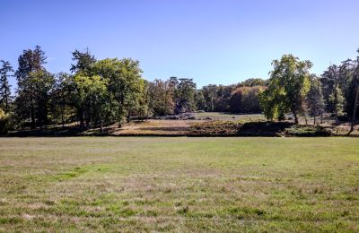Zámek na prodej Nevers, Bourgogne-Franche-Comté, Foto 16/17