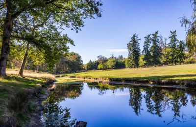 Zámek na prodej Nevers, Bourgogne-Franche-Comté, Foto 4/17