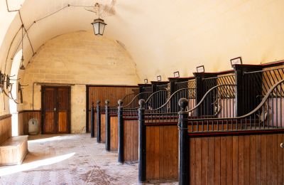 Zámek na prodej Nevers, Bourgogne-Franche-Comté, Foto 13/17