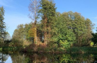 Zámeček na prodej Ojrzanów, Pałac w Ojrzanowie, Mazovia, Park