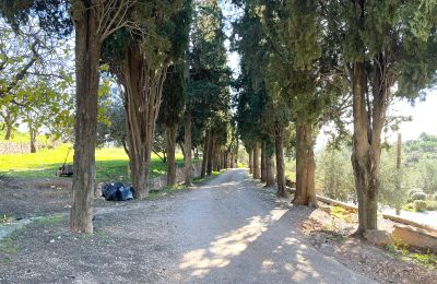 Zámek na prodej Castellar del Vallès, Poligono 19 Parcela 12, Katalánsko, Foto 45/50