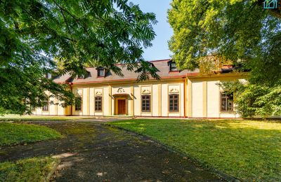 Zámeček na prodej Rakovec nad Ondavou, Košický kraj, Pohled zezadu