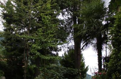Historická vila na prodej Faido, Ticino, Přístup