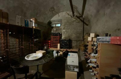 Historická vila na prodej Faido, Ticino, Cantina vini