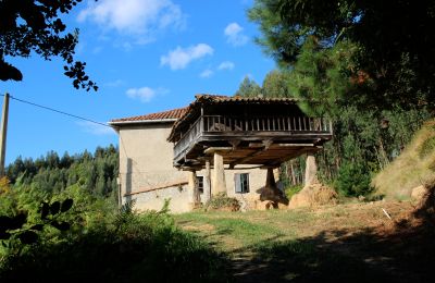 Venkovský dům na prodej Niévares, Asturias, Foto 39/39