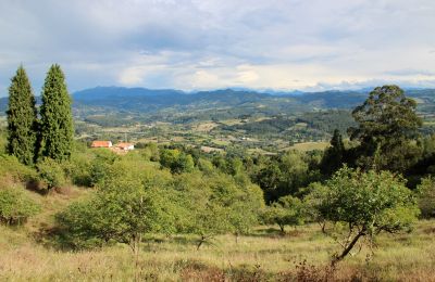 Venkovský dům na prodej Niévares, Asturias, Foto 38/39