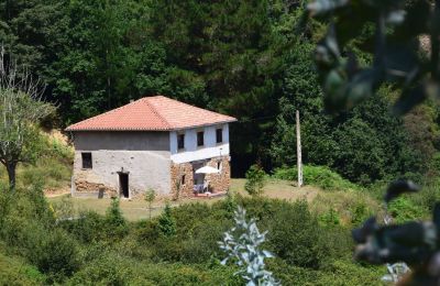 Venkovský dům na prodej Niévares, Asturias, Foto 30/39
