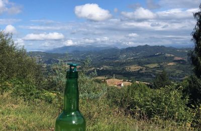 Venkovský dům na prodej Niévares, Asturias, Foto 32/39