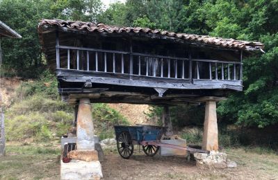 Venkovský dům na prodej Niévares, Asturias, Getreidespeicher