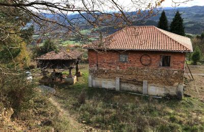 Venkovský dům na prodej Niévares, Asturias, Blick von hinten 