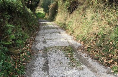 Venkovský dům na prodej Niévares, Asturias, Weg zum Haus 