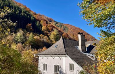 Historická vila na prodej Waidhofen an der Ybbs, Niederösterreich, Foto 31/40