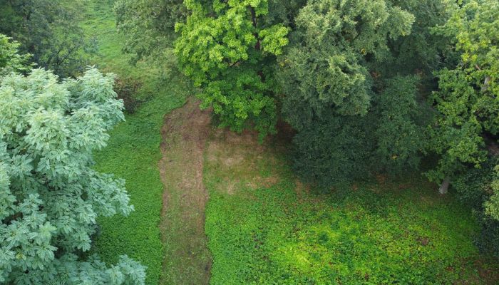 Historický park na prodej Polsko