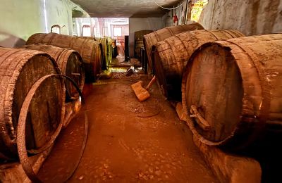 Městský palác na prodej Ribera, Roma 37, Sicilia, Vinný sklep