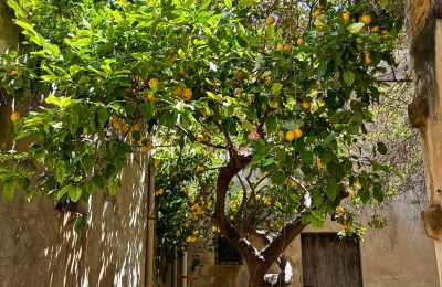 Městský palác na prodej Ribera, Roma 37, Sicilia, Cortile