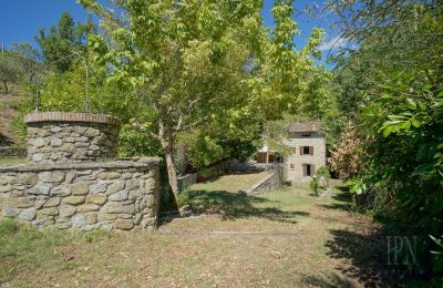 Mlýn na prodej Cortona, strada provinciale 34, Toscana, Foto 10/35